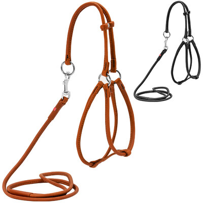 Round leather harness WAUDOG SOFT N1 with leash for cats and small dogs 105 cm 6 mm