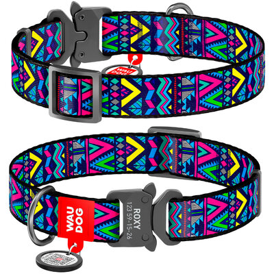 Nylon dog collar WAUDOG Nylon with QR passport with pattern "Indie", melal buckle-fastex with an area for engraving 