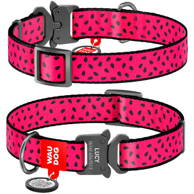 Nylon dog collar WAUDOG Nylon with QR passport with pattern "Watermelon", melal buckle-fastex with an area for engraving 