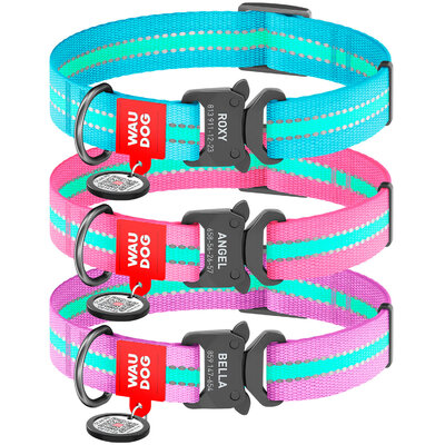Nylon dog collar WAUDOG Nylon with QR passport, glow in the dark, melal buckle-fastex with an area for engraving