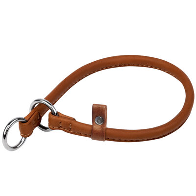 Leather dog slip-collar WAUDOG SOFT 30 cm 6 mm Brown